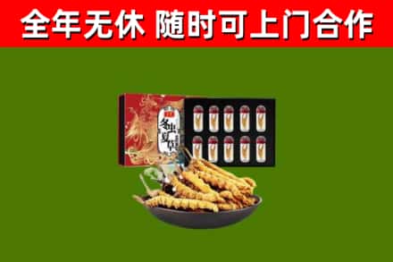 江华县回收冬虫夏草价格